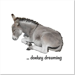 Little Donkey Dreaming Posters and Art